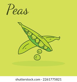 Vector icon of Peas. The product is a vegetable Peas. Illustration of food Peas flat minimalism style