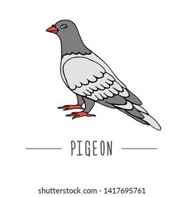 Vector icon of pigeon. Hand drawn illustration