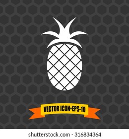 Vector Icon of Pineapple on Dark Gray Background. Eps.10.