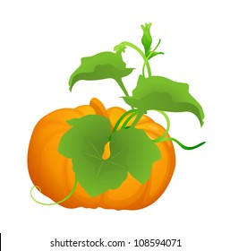 vector icon pumpkin