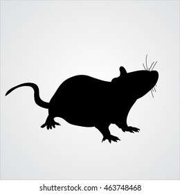 vector, icon rat