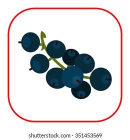 Vector icon of ripe black currant bunch