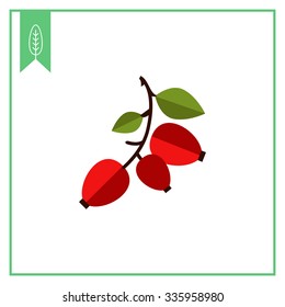 Vector icon of ripe dogrose berry bunch