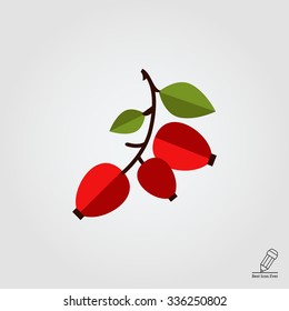 Vector icon of ripe dogrose berry bunch