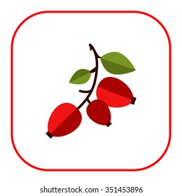 Vector icon of ripe dogrose berry bunch