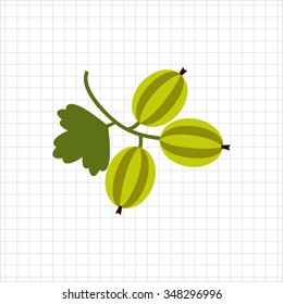 Vector icon of ripe green gooseberry bunch