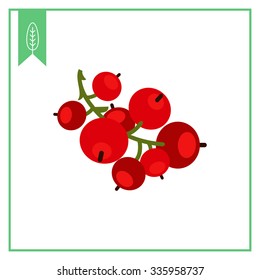 Vector icon of ripe red currant bunch