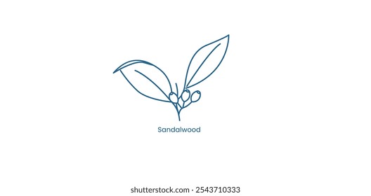 Vector Icon for Sandalwood Fragrance