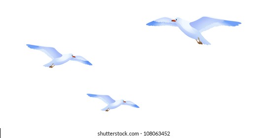 vector icon sea gull