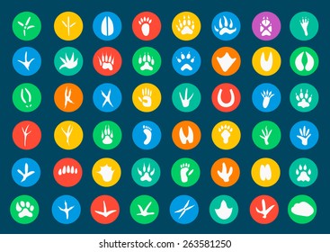 Vector Icon Set: Animal Paw Prints Collection