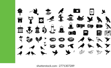Vector icon set of backyard birds including Hummingbird, Owl, Woodpecker, and Sparrow...