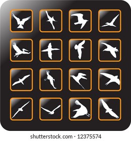 Vector Icon Set for birds