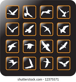 Vector Icon Set for birds -9