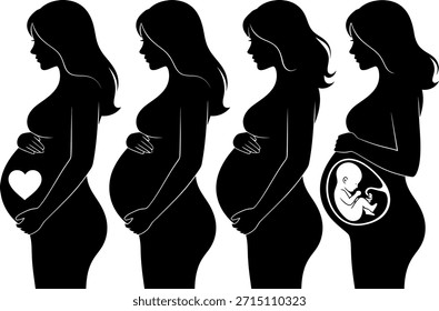 Conjunto de iconos de Vector que representa cuatro siluetas de mujeres embarazadas que muestran diferentes etapas del embarazo, la fertilidad y el desarrollo fetal en blanco.