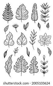 Vector icon set design template in trendy linear minimal style -  leaves of nature - abstract symbol