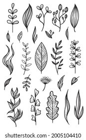 Vector icon set design template in trendy linear minimal style -  leaves of nature - abstract symbol