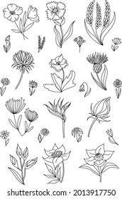 Vector icon set design template in trendy linear minimal style -  flowers of nature - abstract symbol