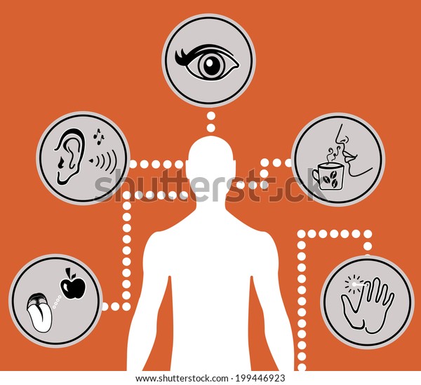 Vector Icon Set Five Human Senses Stock Vector Royalty Free Shutterstock