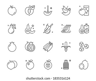Vector icon set of fruit icon set, fruit symbol and related thing, vector eps10, 64x64 Pixel perfect icon, editable icon for web design and application on white isolated 