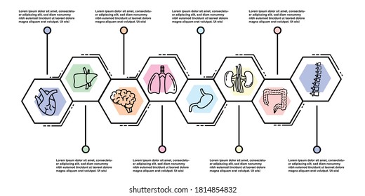 Vector icon set of human internal organs in flat style