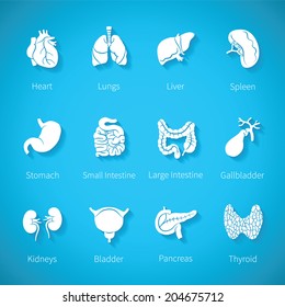 Vector icon set of human internal organs like heart spleen lungs stomach thyroid intestine bladder gallbladder pancreas kidneys and liver in flat style with shadow