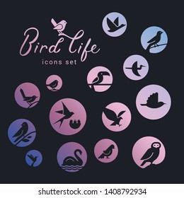 Vector icon set of icons inscribed in a circle filled with a gradient on the theme of wild bird life. Bird wounds in linear style. Design concept.