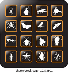 Vector Icon Set for insects -4