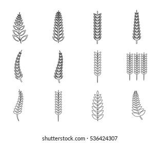 Vector icon set of leaves on white background