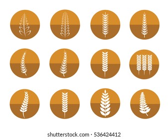 Vector icon set of leaves on white background
