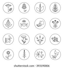 Vector icon set of medicinal herbs. 
