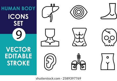 A vector icon set of nine human body-related symbols, including a liver, eye, foot, neck, abs, skull, ear, lungs, and buttocks, in editable stroke style