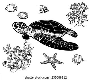 Vector icon set with sea animals