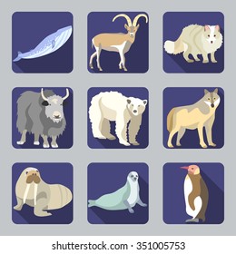 Vector Icon set with silhouettes of antarctic wild animals on blue buttons. Keith, mountain goat, fox, yak, polar bear, wolf, walrus, seals and penguins in flat design cartoon style.