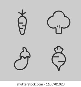 vector icon set of vegetables, carrots, broccoli, eggplant and turnip