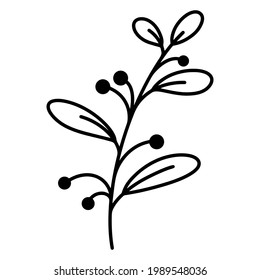 Vector icon sprig with leaves and berries. Hand drawn doodle illustration. Black outline of a branch. Botanical element. Plant sketch. Isolated vegetable object on a white background. 