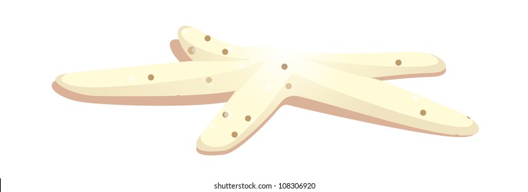 vector icon starfish
