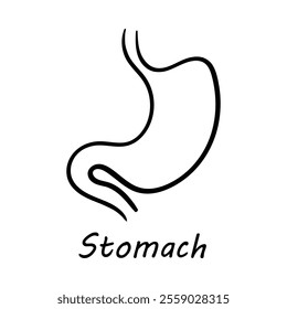 Vector Icon for Stomach: Human Digestive System and Stomach Health Illustration