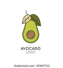 Vector Icon Style Illustration Logo for Organic Vegan Healthy Shop or Store. Green Avocado with Leafs Symbol