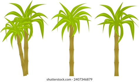 Vector icon of sugar cane trees for Pongal decorations.