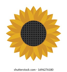 Vector icon sunflower. Flat illustration of a yellow flower with seeds isolated on a white background.