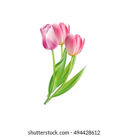 Vector icon. Three flowers. Tulips isolated