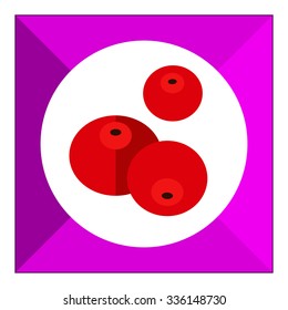 Vector icon of three ripe fresh cranberries
