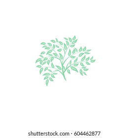Vector icon tree illustration element nature sign