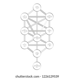  vector icon with tree of life Kabbalah symbol for your design