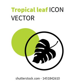 Vector icon with tropical leaf silhouette and green circle. For web, logo, fruit shop, banner, design