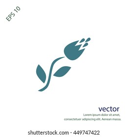 Vector icon tulip