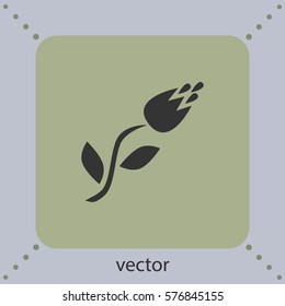 Vector icon tulip