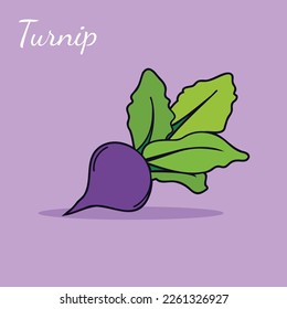 Icono vector del nabo. El producto es un nabo violeta de verduras afiladas. Ilustración del nabo alimentario en estilo minimalista plano