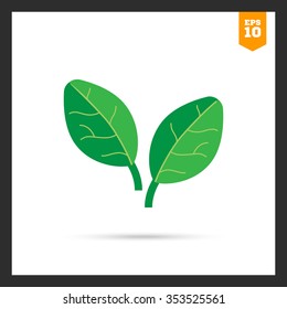 Vector icon of two green spinach leaves