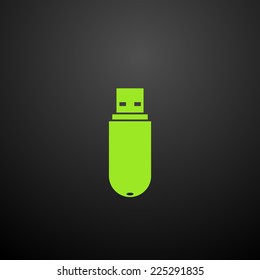 Vector icon USB Flash drive isolated on a black background for your design